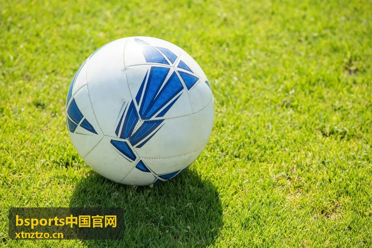 bsports中国官网 会员服务与权益
