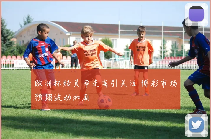 欧洲杯赔负率走高引关注 博彩市场预期波动加剧