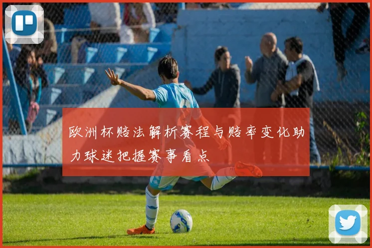 欧洲杯赔法解析赛程与赔率变化助力球迷把握赛事看点