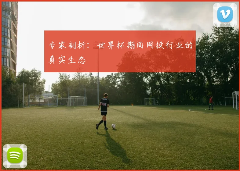 专家剖析:世界杯期间网投行业的真实生态