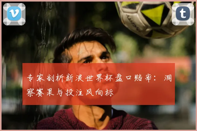 专家剖析新浪世界杯盘口赔率:洞察赛果与投注风向标