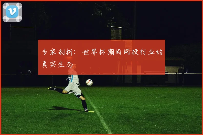 专家剖析:世界杯期间网投行业的真实生态