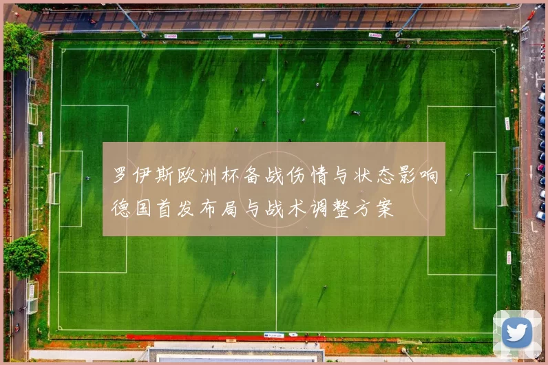 罗伊斯欧洲杯备战伤情与状态影响德国首发布局与战术调整方案