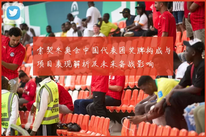 索契冬奥会中国代表团奖牌构成与项目表现解析及未来备战影响