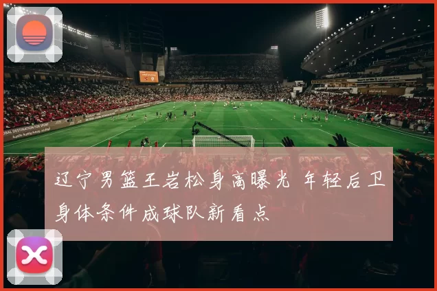 辽宁男篮王岩松身高曝光 年轻后卫身体条件成球队新看点